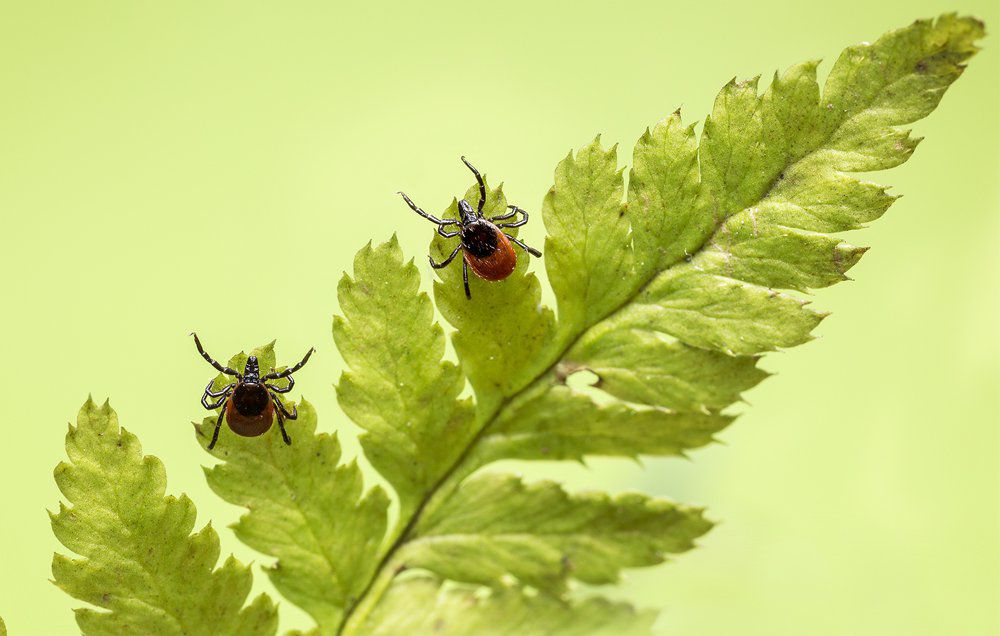 2018.12.05.Hoang Xuan Huyen Trang 1