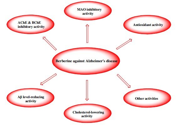 2018.08.03.Le Thi Bich Hien Berberine 2