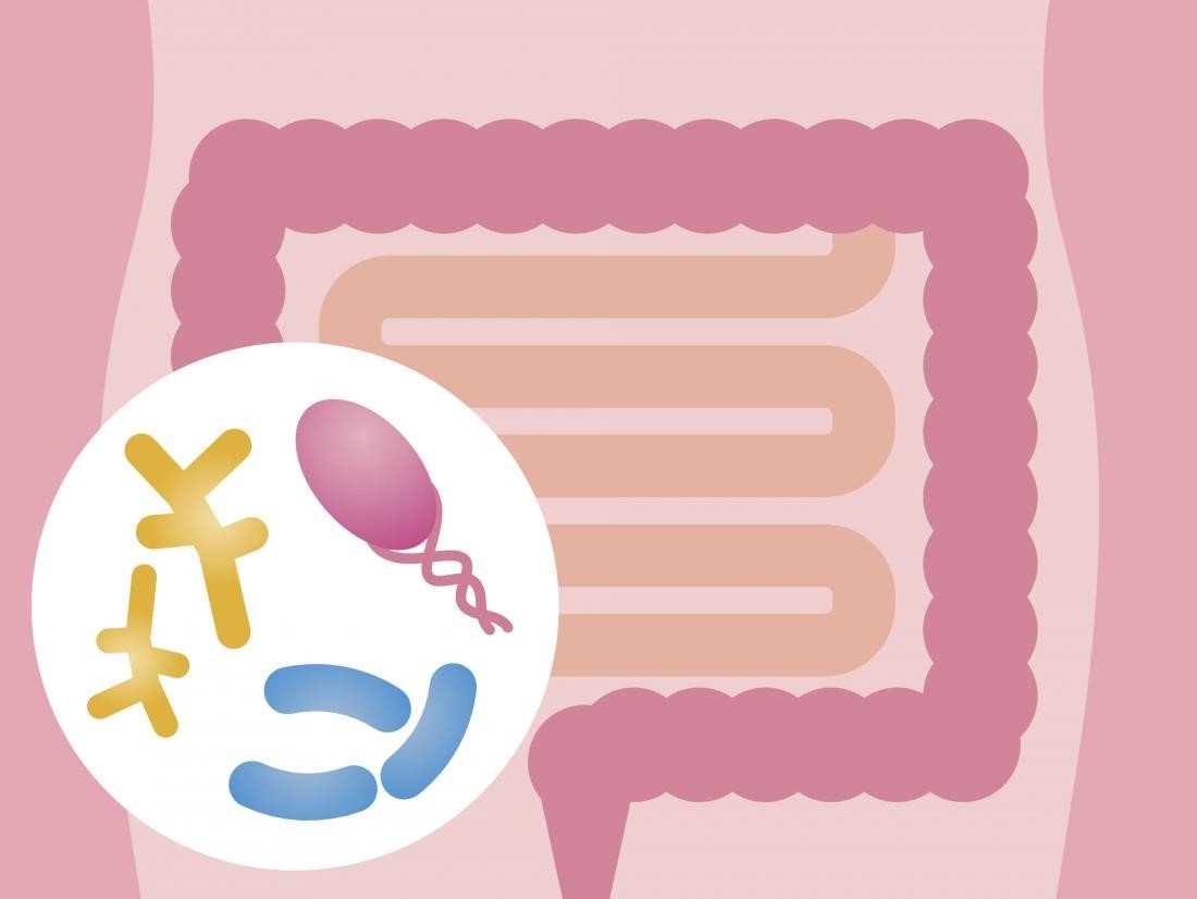 3. Huan thang 11 2018