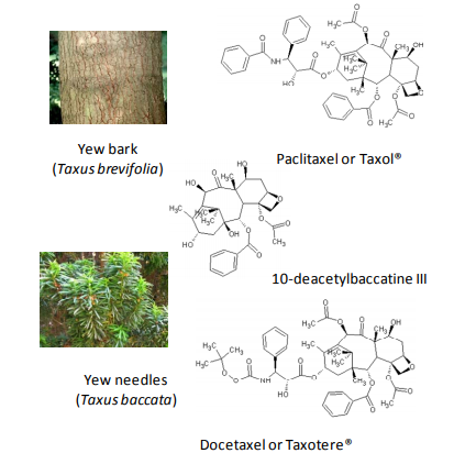 2019.03.06.Nguyen Khanh Thuy Linh 1