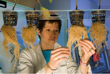 2019.03.06.Nguyen Khanh Thuy Linh 2