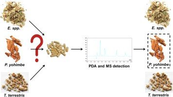 2018.07.06.Ky thuat dau van tay 3