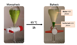 2021.07.Le Trong Nhan 02