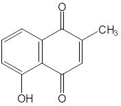 2021.01.Nguyen Dinh Quynh Phu 3