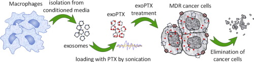 exosome 2