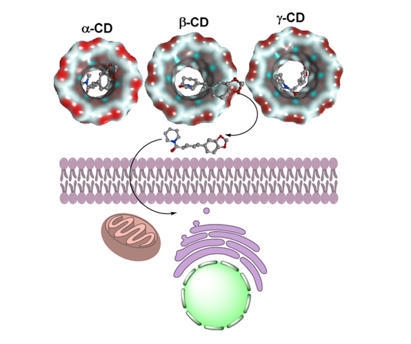 2019.07.Nguyen Dinh Quynh Phu 3