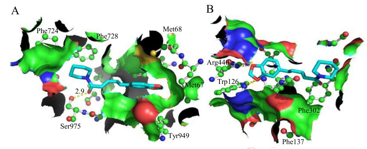 2019.07.Nguyen Dinh Quynh Phu 4