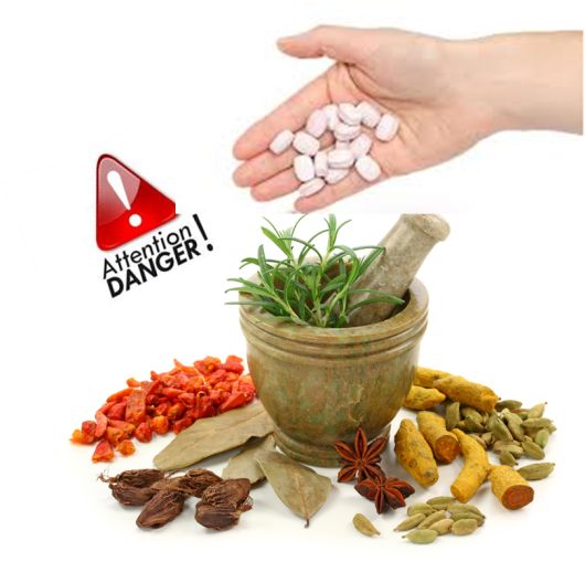 2017.12.05.Bich Hien