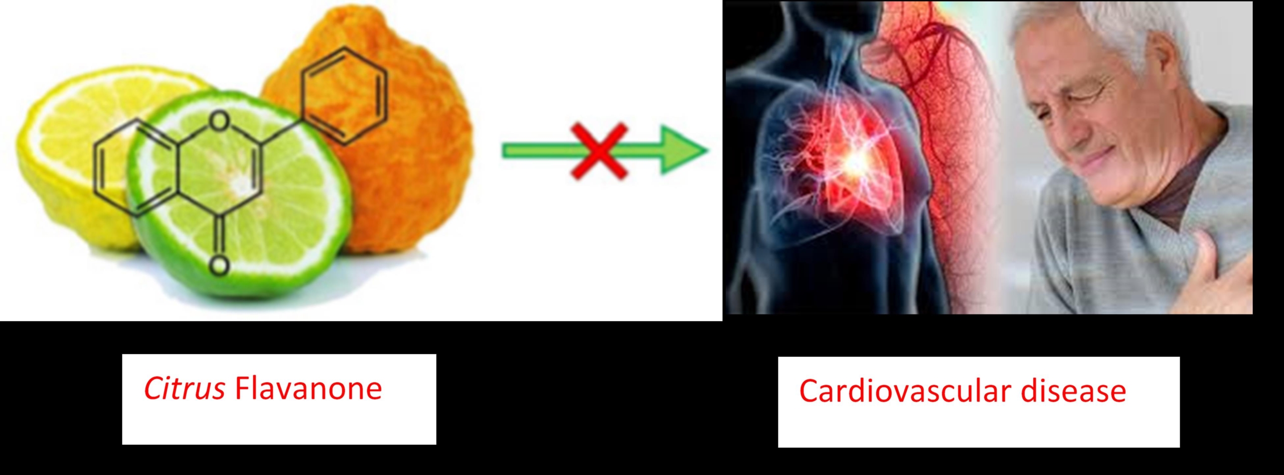 2019.06.23.Le Thi Bich Hien 01