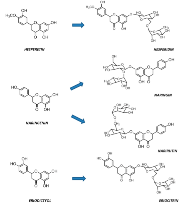 2019.06.23.Le Thi Bich Hien 02