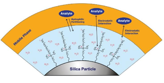 HILIC 2