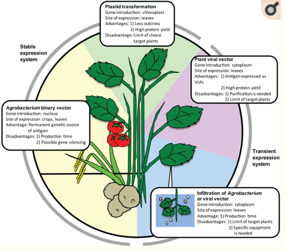 2021.08.Nguyen Khanh Thuy Linh 2