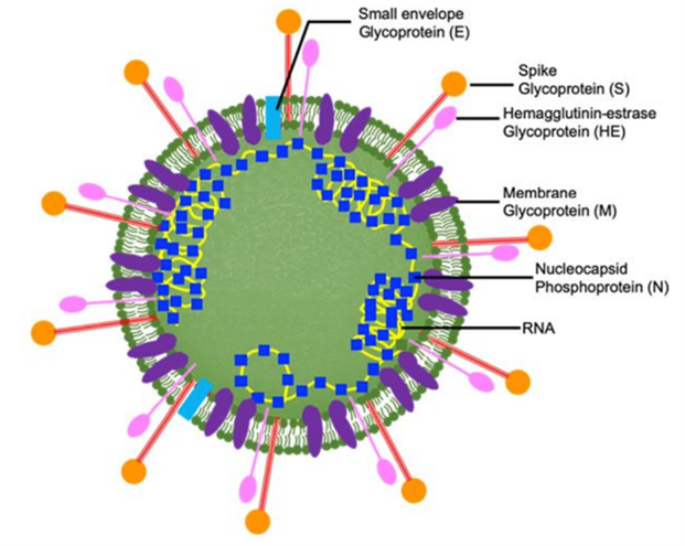 2020.10.Nguyen Khanh Thuy Linh-1.png