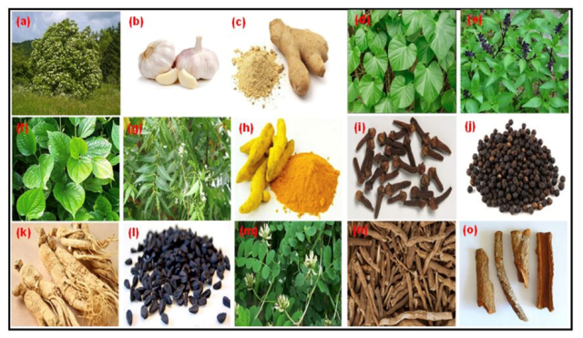 2020.10.Nguyen Khanh Thuy Linh 3