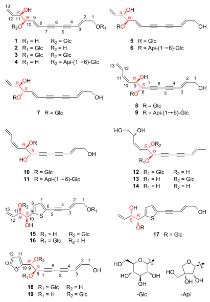 2021.06.Ho Viet Duc 02